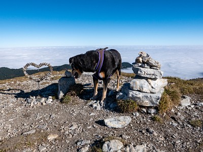 DCLDLUX8-20251014-1001777