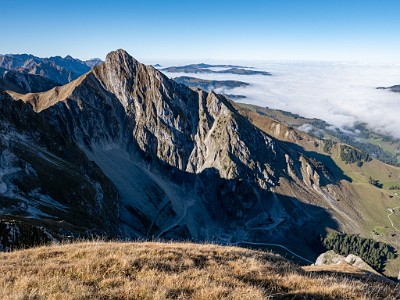 DCLDLUX8-20251014-1001780