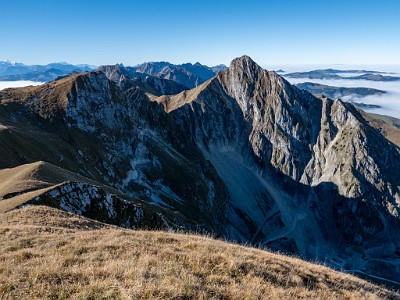 DCLDLUX8-20251014-1001781