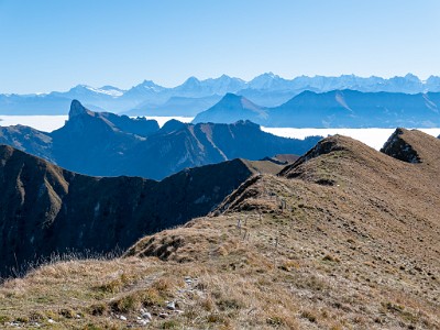 DCLDLUX8-20251014-1001782