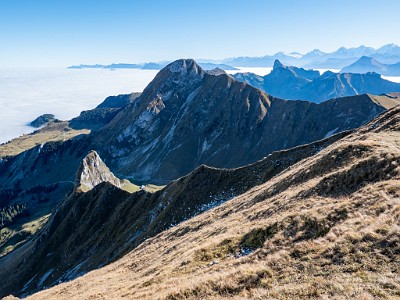 DCLDLUX8-20251014-1001784