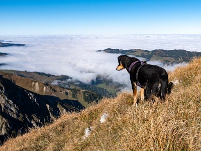 DCLDLUX8-20251014-1001788