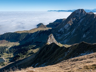 DCLDLUX8-20251014-1001793