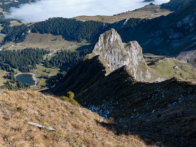 DCLDLUX8-20251014-1001801