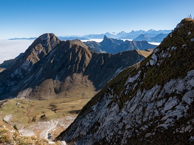 DCLDLUX8-20251014-1001803