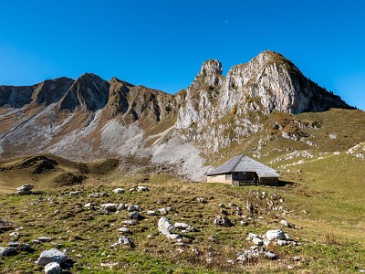 DCLDLUX8-20251014-1001806