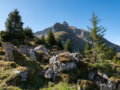 DCLDLUX8-20251014-1001808