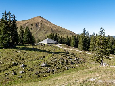 DCLDLUX8-20251014-1001812