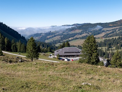 DCLDLUX8-20251014-1001814