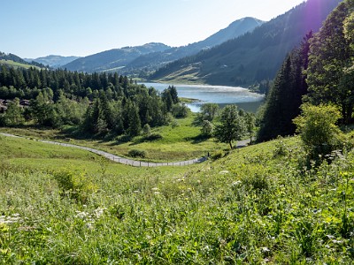 DCLDLUX8-20250710-1000749