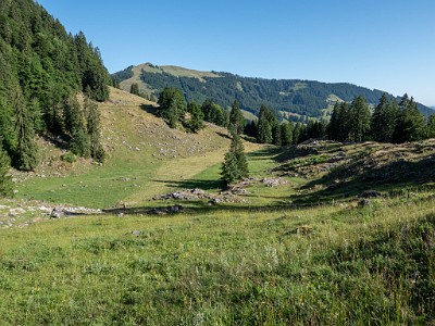 DCLDLUX8-20250710-1000750