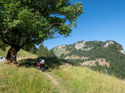 DCLDLUX8-20250710-1000751