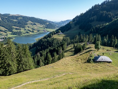 DCLDLUX8-20250710-1000752