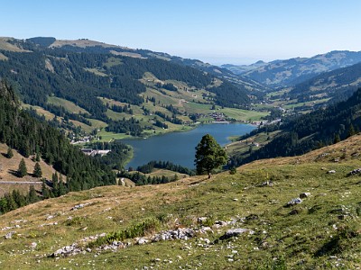 DCLDLUX8-20250710-1000757