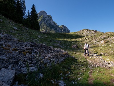 DCLDLUX8-20250710-1000758