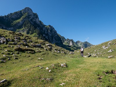 DCLDLUX8-20250710-1000760