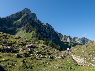 DCLDLUX8-20250710-1000761