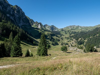 DCLDLUX8-20250710-1000762