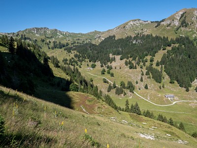 DCLDLUX8-20250710-1000765