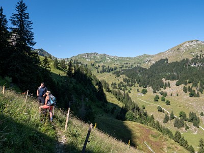 DCLDLUX8-20250710-1000766