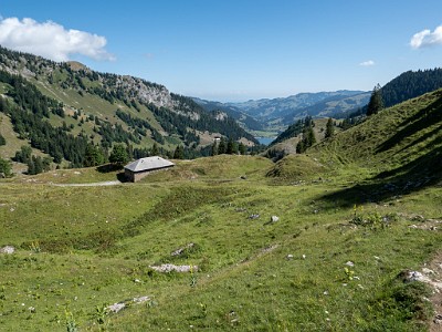 DCLDLUX8-20250710-1000767