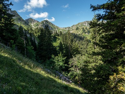 DCLDLUX8-20250710-1000769