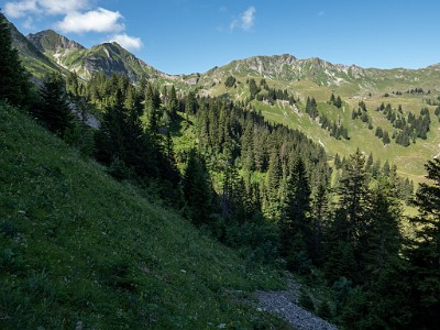 DCLDLUX8-20250710-1000770