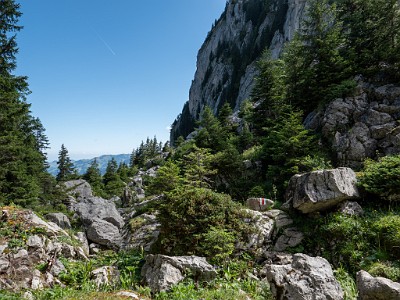 DCLDLUX8-20250710-1000771