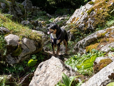 DCLDLUX8-20250710-1000773