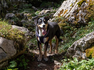 DCLDLUX8-20250710-1000774