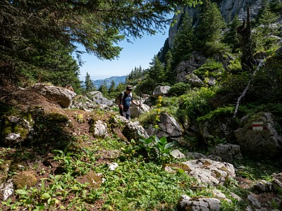 DCLDLUX8-20250710-1000775