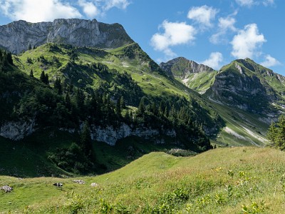 DCLDLUX8-20250710-1000777