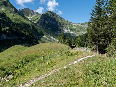 DCLDLUX8-20250710-1000778