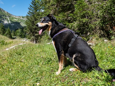 DCLDLUX8-20250710-1000784