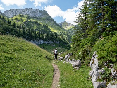 DCLDLUX8-20250710-1000788