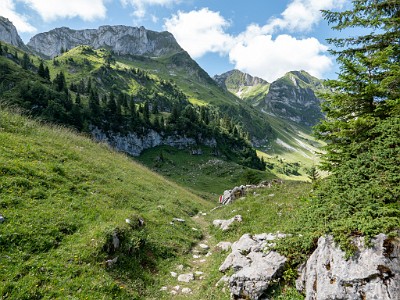 DCLDLUX8-20250710-1000789