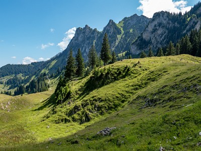 DCLDLUX8-20250710-1000804