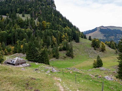 DCCG1X-20251003-2070