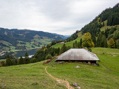 DCCG1X-20251003-2072