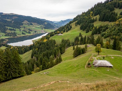 DCCG1X-20251003-2074