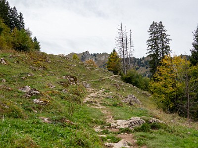 DCCG1X-20251003-2076