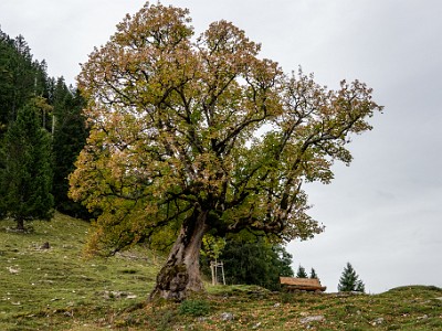 DCCG1X-20251003-2078