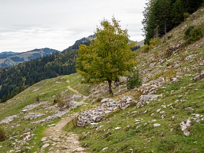 DCCG1X-20251003-2081