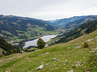 DCCG1X-20251003-2082