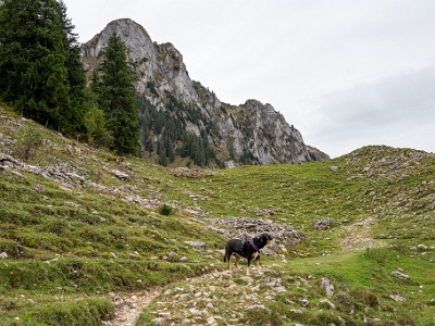 DCCG1X-20251003-2084