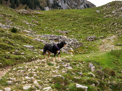 DCCG1X-20251003-2085