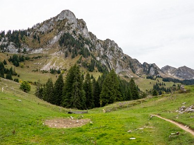 DCCG1X-20251003-2086