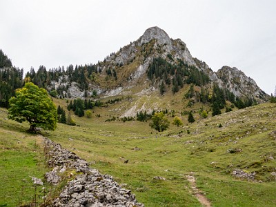 DCCG1X-20251003-2088