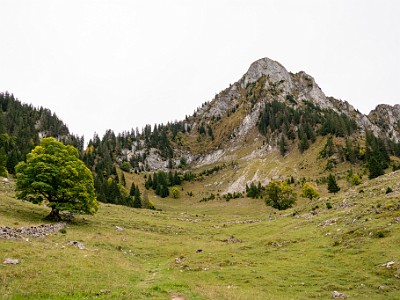 DCCG1X-20251003-2089