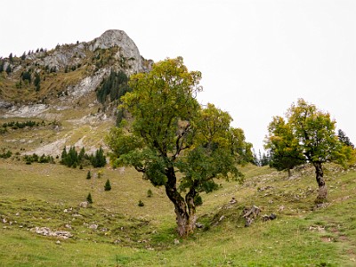 DCCG1X-20251003-2092